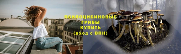 стафф Алзамай