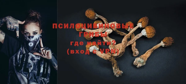 стафф Алзамай