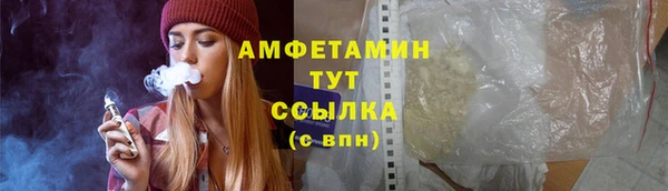 PSILOCYBIN Покачи