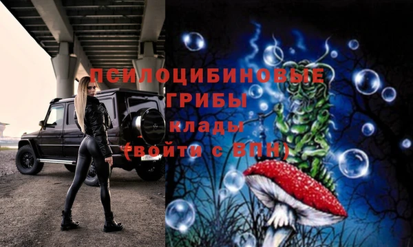 стафф Алзамай
