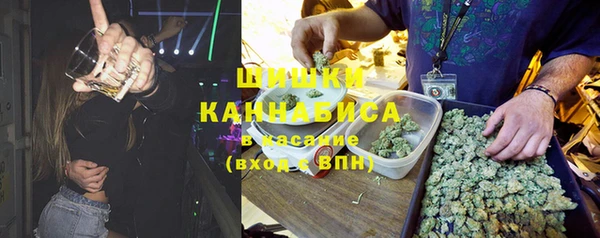 эйфоретик Алексин