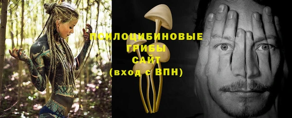 эйфоретик Алексин